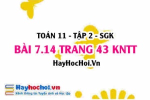 Bài 7.14 trang 43 Toán 11 tập 2 Kết nối tri thức
